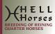 Logo für Hell Horses